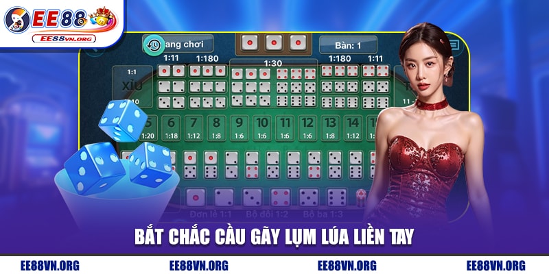 Bắt chắc cầu gãy lụm lúa liền tay