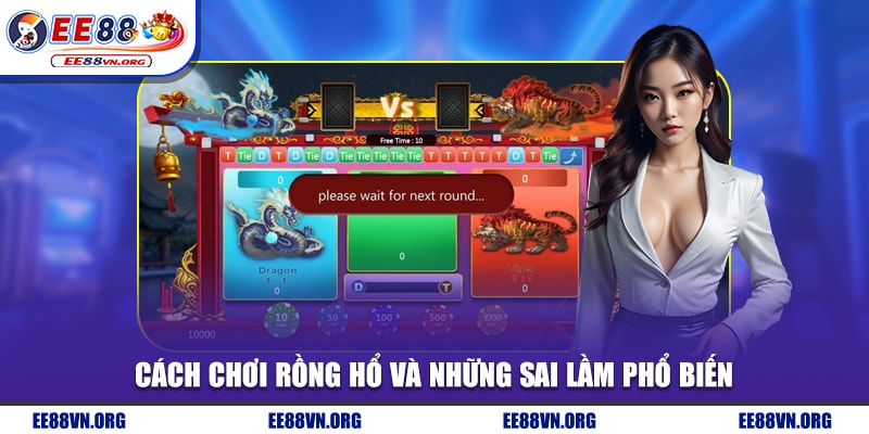 Cách chơi rồng hổ và những sai lầm phổ biến