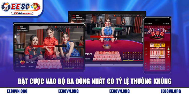 Đặt cược vào bộ ba đồng nhất có tỷ lệ thưởng khủng