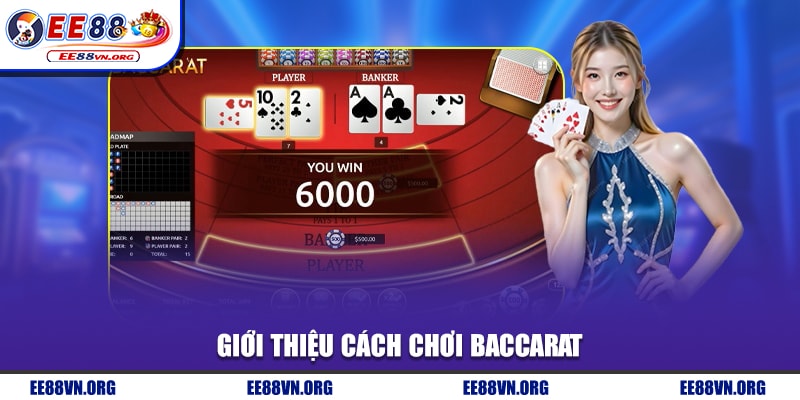 Giới thiệu cách chơi baccarat