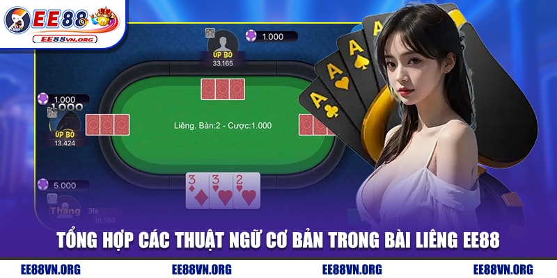 Tổng hợp các thuật ngữ cơ bản trong bài liêng EE88